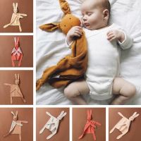 【DT】hot！ Soft Newborn Baby Sleeping Dolls Kids Fashion Soothe Appease Bib for Xmas Dropshipping