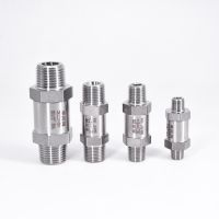 1/8" 1/4" 3/8" 1/2" BSP NPT Male To Male One Way Check Valve Non-return Inline 304 Stainless Steel