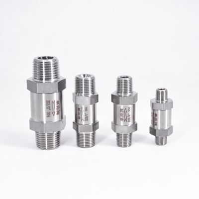 1/8" 1/4" 3/8" 1/2" BSP NPT Male To Male One Way Check Valve Non-return Inline 304 Stainless Steel Clamps