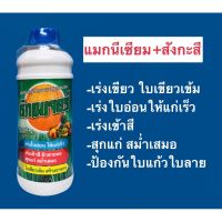 มาใหม่จ้า ซิกเนเจอร์ (แมกนีเซียม+สังกะสี)เร่งเขียว เข้าสี 1 ลิตร ขายดี อุปกรณ์ ทาสี บ้าน แปรง ทาสี ลายไม้ อุปกรณ์ ทาสี ห้อง เครื่องมือ ทาสี