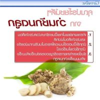 1 กิโลกรัม ว่านชักมดลูก (Temulawak) หัวสด ใช้ปลูกได้ ใช้ทานได้ (Curcuma comosa Roxb.) ว่านชักมดลูกตัวเมีย ว่านทรหด ว่านหำหด