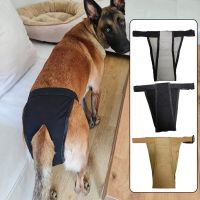 Pet Safety Panties Diaper Clothes Protective Trousers Dog Menstrual Pants Female Dogs Physiological Pants Washable Adjustable