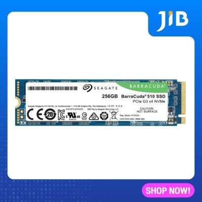 256 GB SSD (เอสเอสดี) SEAGATE BARRACUDA 510 PCIe/NVMe M.2 2280 (ZP256CM30041)