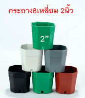 กระถาง 8เหลี่ยมตัดมุม  ขนาด 2นิ้ว ( ชุด 100ใบ ฟรี 10ใบ) | กระถางcactus กระถางต้นไม้ กระถาง2นิ้ว กระถาง 8เหลี่ยม ส่งฟรีทั่วไทย