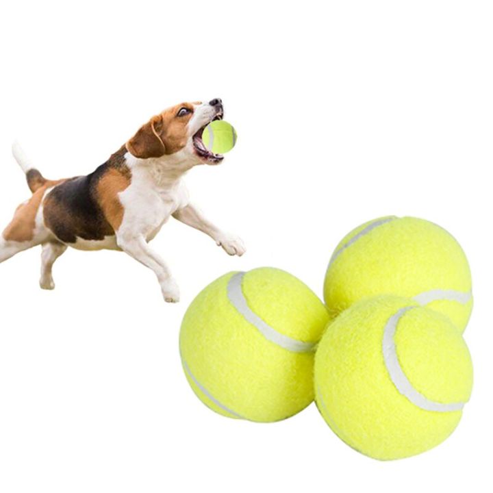 ของเล่นสำหรับสัตว์เลี้ยงเทนนิสสำหรับสัตว์เลี้ยงสุนัขขนาด5ซม-เคี้ยวลูกบอลขว้างลูกบอลเด็กลูกบอลเด้งดึ๋งสูงสำหรับสัตว์เลี้ยงอุปกรณ์สุนัขขายดีอุปกรณ์เสริมสำหรับลูกสุนัข-yy-ร้านค้า