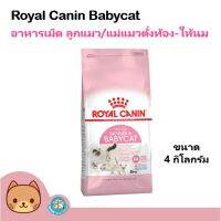 ด่วนโปร ส่งฟรี Royal Canin Mother &amp; Babycat 4kg. อาหารสำหรับลูกแมวอายุ1-4เดือน และแม่แมวตั้งท้อง-ให้นม