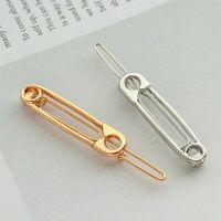 2 Pcs Fashion Gold Silver Hair Clips for Women Girl Chic Safety Pin Hairpins Brooch Pin Shape Barrettes Stylish Hair Accessories