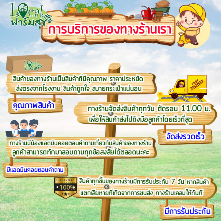 local-ฟาร์มสุข-หินโรยหน้ากระถาง-กระถางแคตตัส-ช่วยรักษาความชื้นของดิน-ต้นไม้-ตู้ปลา-หินตกแต่งกระถางต้นไม้-แคคตัส-หินสี-1-กิโล-homes