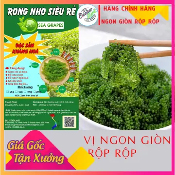 Khám phá rong nho nhỏ xinh với giá tốt đẹp như mơ. Cùng chúng tôi tìm hiểu về loại tảo quý giá này trong hình ảnh đầy màu sắc và cuốn hút đến từ những vùng biển xa xôi.