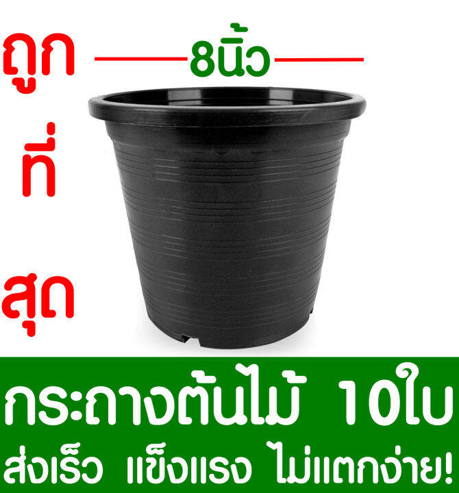 กระถางต้นไม้-กระถางพลาสติก-ขนาด-8-นิ้ว-10ใบ-กระถางกลม-กระถางต้นไม้พลาสติก-กระถางปลูกต้นไม้-กระถางดำ-กระถางพลาสติกดำ-flower-pot