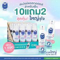 ยกลัง (Osoji spray ) โอโซจิ สเปรย์ แอลกอฮอล์ 75% เหมาะสำหรับเด็ก ขนาด 250ml *สั่งซื้อ 1โหล ในราคา 1690บ.