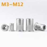 5/10/20pcs 304 Stainless Steel Flat Head Pull Rivet Nut Screw Cap Countersunk Head Threaded Rivet Nuts M3 M4 M5 M6 M8 M10 M12 Nails Screws Fasteners