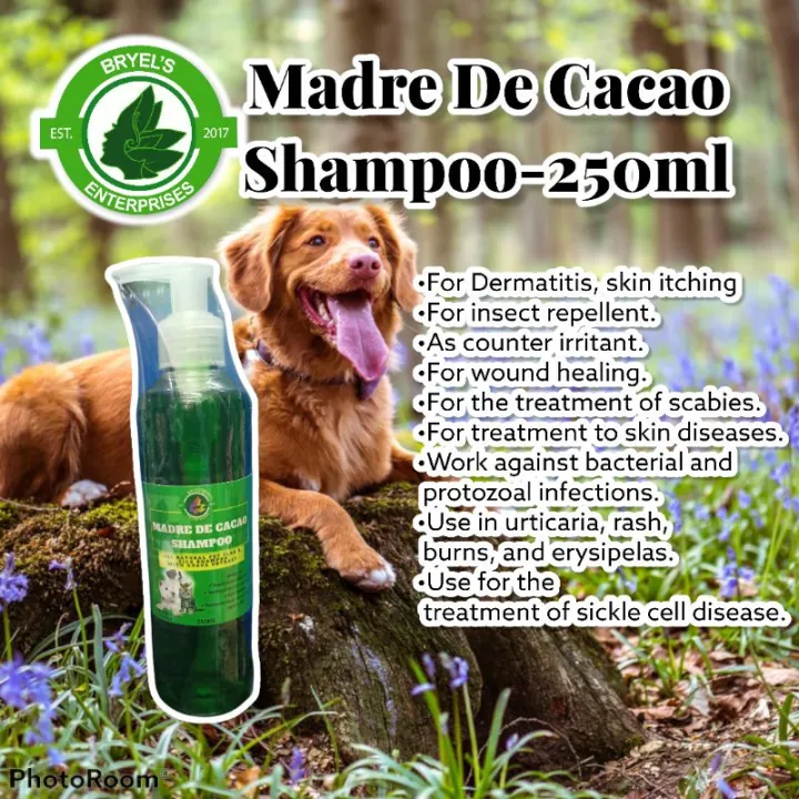 MADRE DE CACAO DOG SHAMPOO 250ML Lazada PH