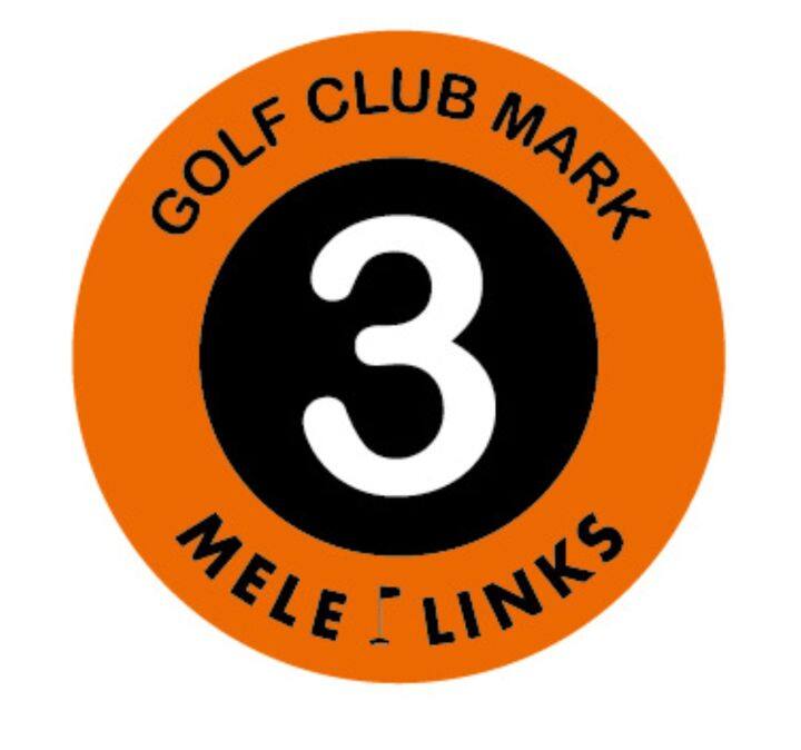 meile-patented-golf-logo-mark-cue-mark-anti-wrong-manufacturer-direct-supply-spot-golf