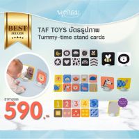 TAF TOYS บัตรรูปภาพ การ์ดคำศัพท์ Tummy-time stand cards