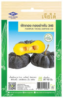 ฟักทอง ทองอำพัน 346 Pumpkin F-1 Hybrid พันธุ์ลูกผสม เมล็ดพันธุ์เจียไต๋ โฮมการ์เด้น จำนวนเมล็ด (ประมาณ) 20 เมล็ด