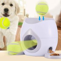 Dog Automatic Ball Launcher Tennis Throwing Machine with 2 for Training