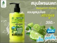 ฟรียางรัดผมน่ารักๆ #แชมพูปลูกผม ขนาด 300mL#แชมพูผมดก #แชมพูสระผม #แชมพูหยุดผมร่วง #แชมพูใบฝรั่ง #แชมพูสมุนไพร#แชมพูสระผมสูตรเย็น