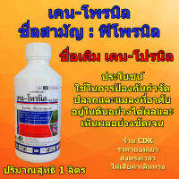 สารกำจัดปลวก เคน-โพรนิล (KEM-PRONIL) ชื่อเดิม เคน-โปรนิล (KEN-PRONIL) : ใช้ในการป้องกันกำจัดปลวก และแมลงที่อาศัยอยู่ในดินได้ผลอย่างชัดเจน