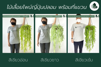 ไม้เลื้อยปลอม ไม้เลื้อยไพน์ญี่ปุ่นปลอม แบบแขวน 70 CM