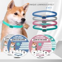 ZZOOI Pet Supplies Adjustable Insect Repellent Anti-Lost Flea And Tick Collar Reflective Dogs Cats Necklace Luminous