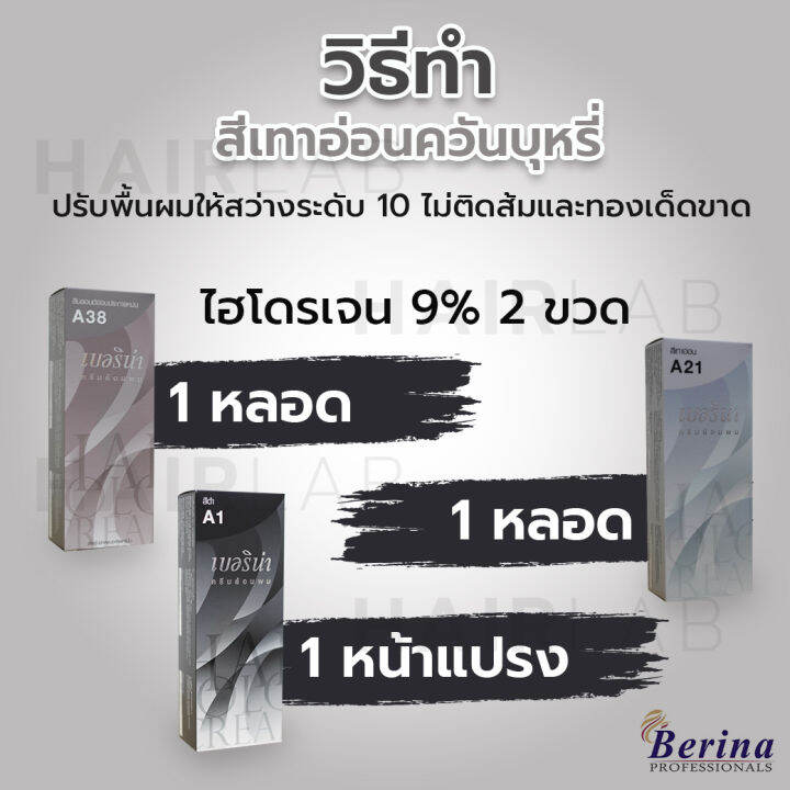 พร้อมส่ง-เซต-4-ชิ้น-berina-ชุดย้อมผม-สีเทาควันบุหรี่-พร้อม-ผงฟอกผม-ทรีทเม้นต์บำรุง-สุดคุ้ม-ผมสีเทา-ฟอกสีผม-กัดสีผม