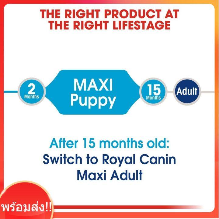 royal-canin-maxi-puppy-10kg-ลูกสุนัขพันธุ์ใหญ่-อายุ-2-15เดือน