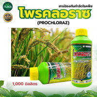 (1000 มล.) โพรคลอราช 1 ลิตร โพรคลอราซ 45 % Ew สารป้องกันเชื้อราในผักผลไม้ โรคแอนแทรคโนสในหอม ก้านช่อดำ กุ้งแห้งพริก อีบุบ แอนแทรคโนสในพืชต่าง