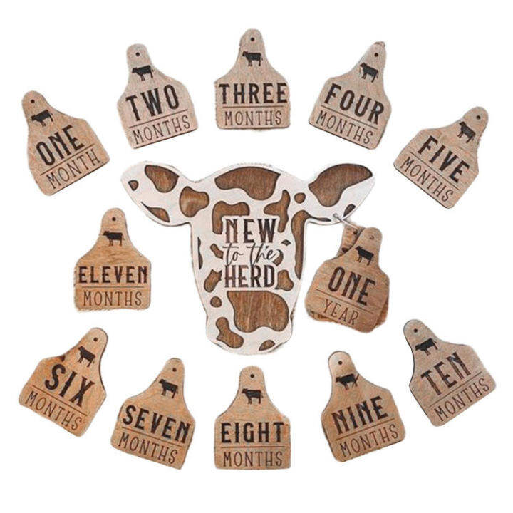 Growth Chart Kids Pearhead Baby Milestone Chalkboard, Monthly