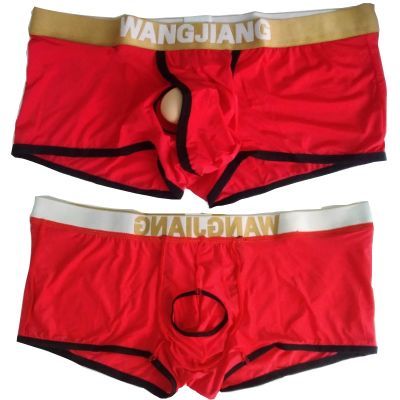 【CW】 Men Boxers Front Silk Shorts Crotch Hole Male Panties Homme Gay Underpants