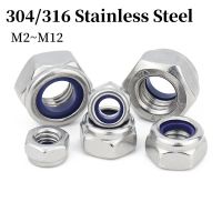 M2 M2.5 M3 M4 M5 M6 M8 M10 M12 304/316 Stainless Steel Hex Nylon Insert Lock Nut Self locking Locknut