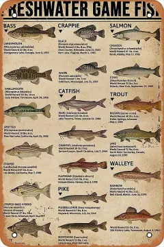 Buy Fishing Wall Decor Rustic Cabin Hunting Fishing Signs Lake House Decor  For Home Kitchen Fish Art Wall Decor Freshwater Game Fish Tin Sign Vintage  Fish Knowledge Metal Signs Outside Fishing Decorations