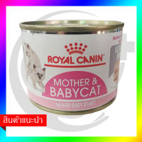 Mother &amp; Babycat Mousse Royal Canin ] ลูกแมว หัดกินอาหาร และแม่แมว ให้นม