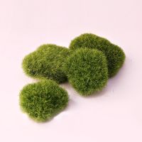 【DT】 hot  Simulated moss plant wall decoration material fake moss fake stone shooting props micro landscape fleshy flowerpot accessories