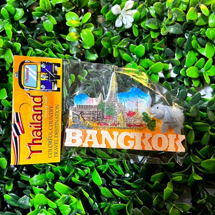 magnet-แม่เหล็ก-ของตกแต่งบ้าน-ของชำร่วย-ของฝาก-ของที่ระลึก-souvenir-thailand-color-bangkok
