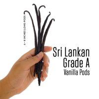 ?Food for you? ฝักวนิลา ศรีลังกา 5 ฝัก Vanilla Bean 5 POD Grade A USDA Certified / Vanila Pod for Vanila Extract Chefs Choice best?Food for you?