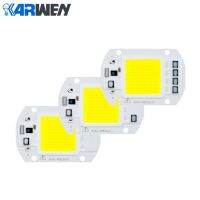 【Best value】 KARWEN ชิปหลอดไฟ LED ค็อปไฟ LED เลนส์สะท้อน20W 30W 50W 220V 230V อินพุตไดรเวอร์สมาร์ทไอซีเหมาะสำหรับไฟสปอร์ตไลท์ DIY