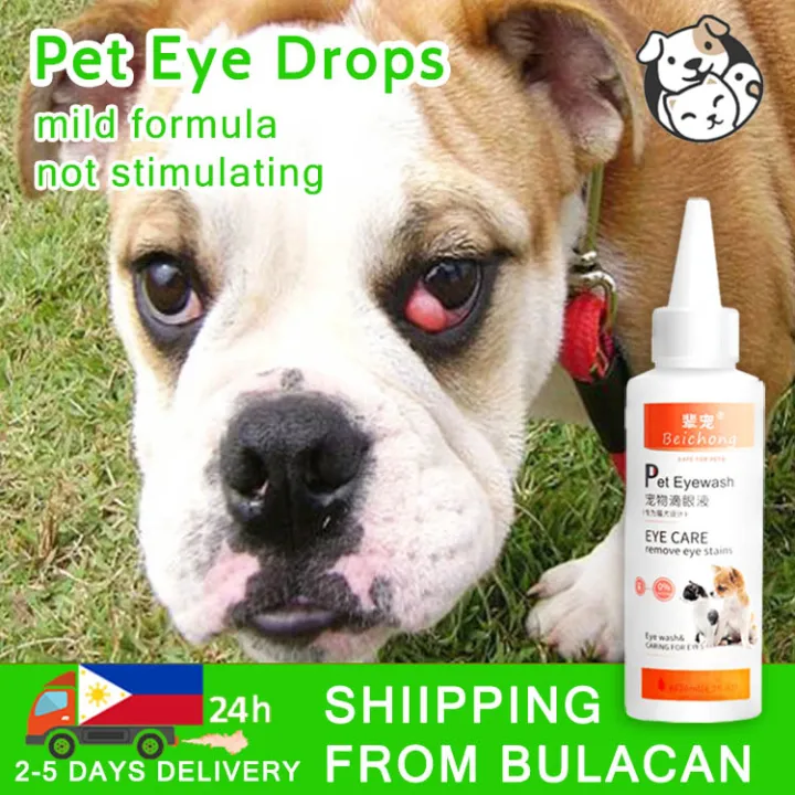 are eye drops safe for dogs