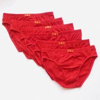 100 Cotton Mens Briefs Plus Size Men Underwear Panties 5XL6XL Mens Breathable Panties Solid Sexy Comfortable Shorts