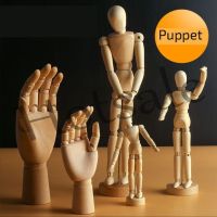 【hot sale】 ☏ B02 Drawing Wooden Puppet Model Sketch Painting Wooden Hand Flexible Movable Wooden Man Art Imitation Human Body