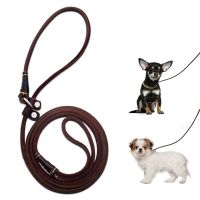 Dog Training Slip Lead Smooth Durable Real Leather Dog Leash Thin &amp; Adjustable Pet Puppy Slip Collar for Bulldog Chihuahua Pug Collars