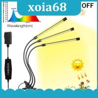 xoia68 Shop 3 Head Clip USB Grow Light Timer LED Fitolamp indoor 5V Full Spectrum Phyto DC Plant lamp desk sunlight Lamp Flexible Dimmable