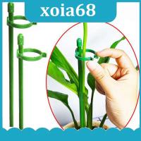 xoia68 Shop 5/10pcs plant Flower Potted Support stand Holder Stake Stander Fixing Tool Gardening Supplies Shrub for Orchid Bonsai Daisy q1