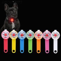 Waterproof LED Pet Dog Collar Pendant Night Safety Luminous Pendant Pet Light Flashing Pendant Collar Perro for Dog Accessories