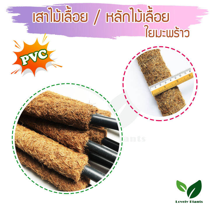 เสาไม้เลื้อย-เสาใยมะพร้าว-pvc