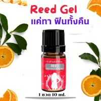 Reed Gel รีด เจล ? ไม่ระบุชื่อสินค้าหน้ากล่อง ส่งฟรี ? ปลุกเสือสาว เจลเพิ่มอารมณ์ผู้หญิง  เจลปลุกอารมณ์ เจลกระตุ้นอารมณ์ (1 ขวด 10 ml.)