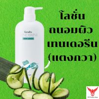 TENDERINE BODY LOTION Giffarine โลชั่นถนอมผิว เทนเดอรีน กิฟฟารีน โลชั่นแตงกวา โลชั่นถนอมผิว โลชั่นทาผิว ครีมทาผิว ครีมถนอมผิว บำรุงผิว