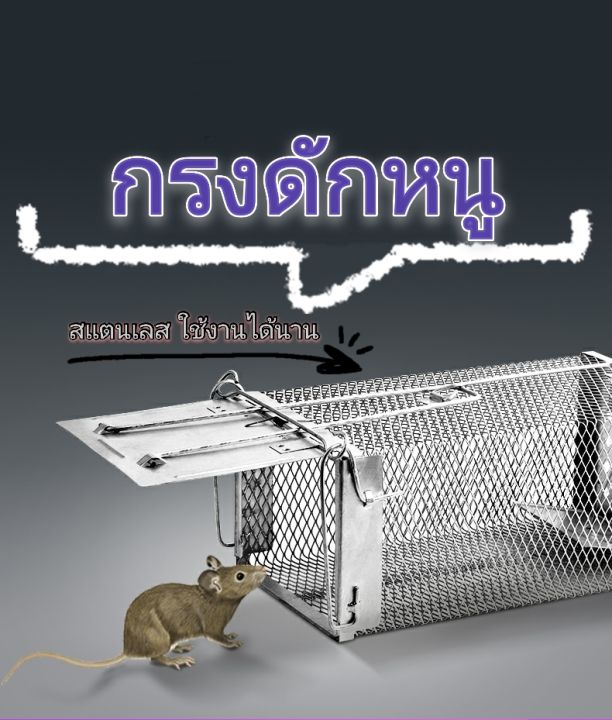 ที่ดักหนู-แข็งแรง-mouse-cage-cat-cage-กับดักกระรอก-กระแต-กรงดักหนูนา-มีบริการเก็บเงินปลายทาง