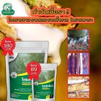 กำจัดเชื้อรา สาเหตุของโรครากขาว รากแดง รากน้ำตาล ใน ยางพารา ไตรโคเดอร์มา ไตรโคเร็กซ์ ปลอดภัยต่อคนและสัตว์เลี้ยง