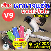 เสียงนกนางแอ่นมาเลย์อินโด (เสียงนอก) V.9 เมม/แฟลชไดร์ฟเสียงนกนางแอ่น มีเก็บเงินปลายทาง ชัดแจ๋วเข้าไว100% ไม่มีโฆษณาแทรก (MP3 เสียงต่อสัตว์)